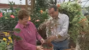 How Not to Take Care of Container Plants