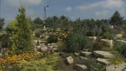 A Rock Quarry Garden
