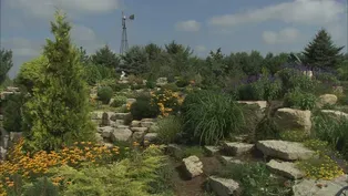 A Rock Quarry Garden