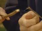Critter Damage