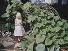 Build a Living Playhouse