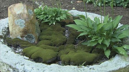 Video thumbnail: The Wisconsin Gardener Creating a Portable Japanese Moss Garden