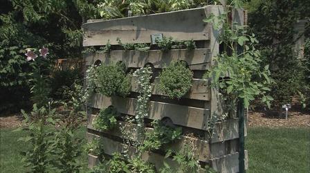 Video thumbnail: The Wisconsin Gardener Vertical Gardening