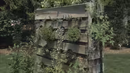 Vertical Gardening