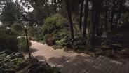 An Artful Shade Garden - Long and Narrow
