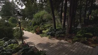 An Artful Shade Garden - Long and Narrow