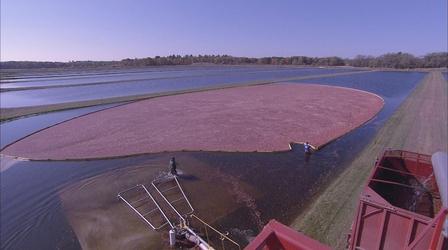 Video thumbnail: Wisconsin Hometown Stories Juneau County: Cranberries
