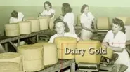 Green Bay: Dairy Gold