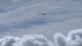 Soaring