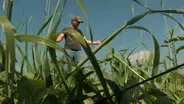 Michael Perry on Crops