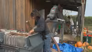 Cider Farmers