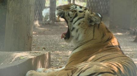 Video thumbnail: Wisconsin Life Valley of the Kings