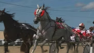 Harness Racing