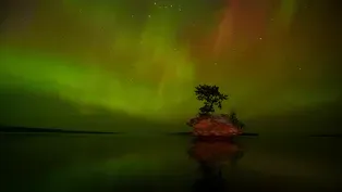 Nature Photographer
