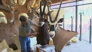 Taxidermist