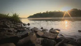 River Wise