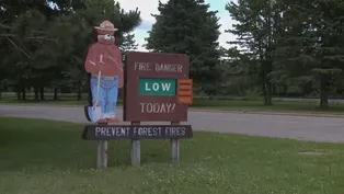 Tracking Smokey Bear