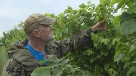 Video thumbnail: Wisconsin Life Restoration Agriculture