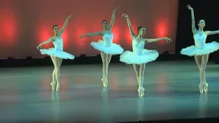 Living The Wisconsin Life: Madison Ballet