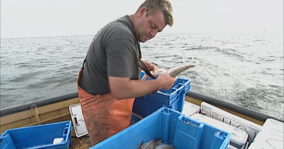 Threats to Lake Michigan Fishing Wisconsin Life PBS