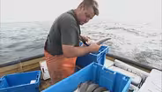 Threats to Lake Michigan Fishing