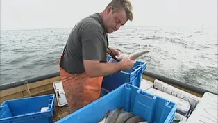Threats to Lake Michigan Fishing