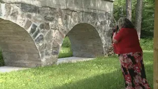 Historical Visitor