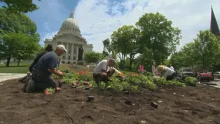 Capitol Gardens