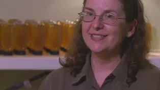 Honey Connoisseurs