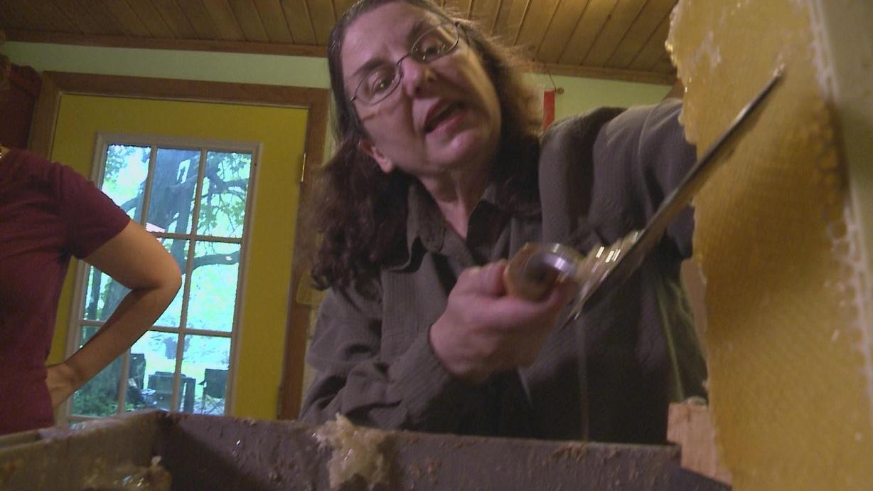 Alexander the Great Preserved in Honey Watch on PBS Wisconsin