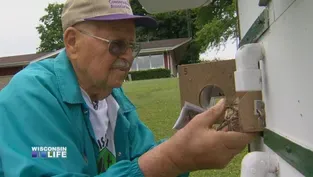 Purple Martin People