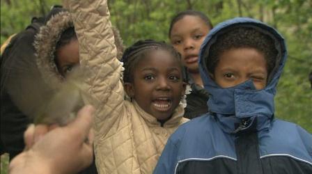 Video thumbnail: In Wisconsin Urban Ecology Center
