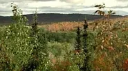 Penokee Range
