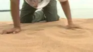Singing Sands