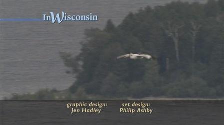 Video thumbnail: In Wisconsin Door County Flying Birds
