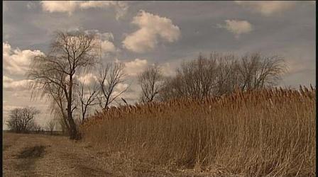 Video thumbnail: In Wisconsin Horicon National Wildlife Refuge