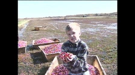 Video thumbnail: WPT Archives: 1990s Get Real! #411
