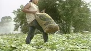 Stranded: Migrant Workers in Wisconsin