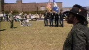Follow the Flag