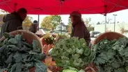 Wisconsin’s Homegrown Farmer