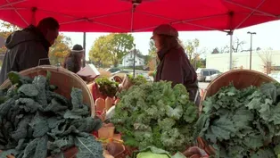 Wisconsin’s Homegrown Farmer