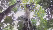 Zip Line Through the Rainforest