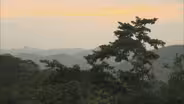 Soberania National Park