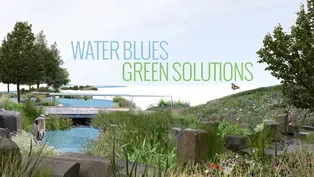 Water Blues Green Solutions