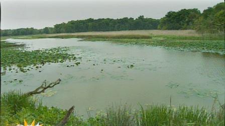 Video thumbnail: K-12 Multimedia Resources Ohio Rocks: Old Woman Creek State Park