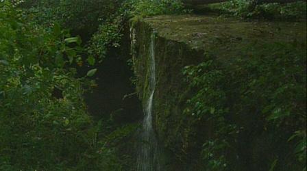 Video thumbnail: K-12 Multimedia Resources Ohio Rocks: Rockbridge State Preserve