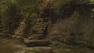 Ohio Rocks: Sharon Woods State Park