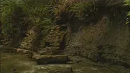 Ohio Rocks: Sharon Woods State Park