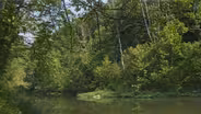 Ohio Rocks: Caesar Creek Gorge