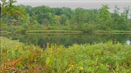 Video thumbnail: K-12 Multimedia Resources Ohio Rocks: Triangle Bog State Park